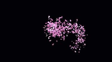 Animated Sakura Petals text letters typeface with alpha channel the character Closed Bracket video