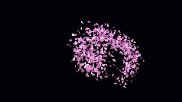 Animated Sakura Petals text letters typeface with alpha channel the character G video