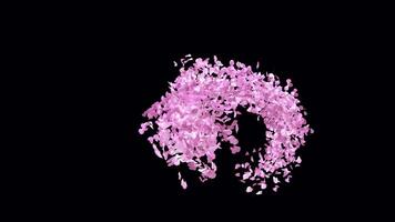 Animated Sakura Petals text letters typeface with alpha channel the character 4 video