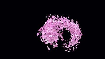 Animated Sakura Petals text letters typeface with alpha channel the character 4 video