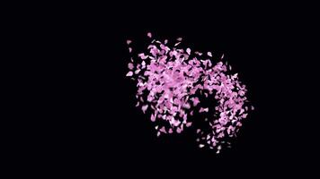 Animated Sakura Petals text letters typeface with alpha channel the character N video