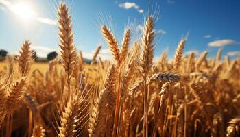 AI generated Golden wheat fields in the rural summer landscape under blue sky generated by AI photo