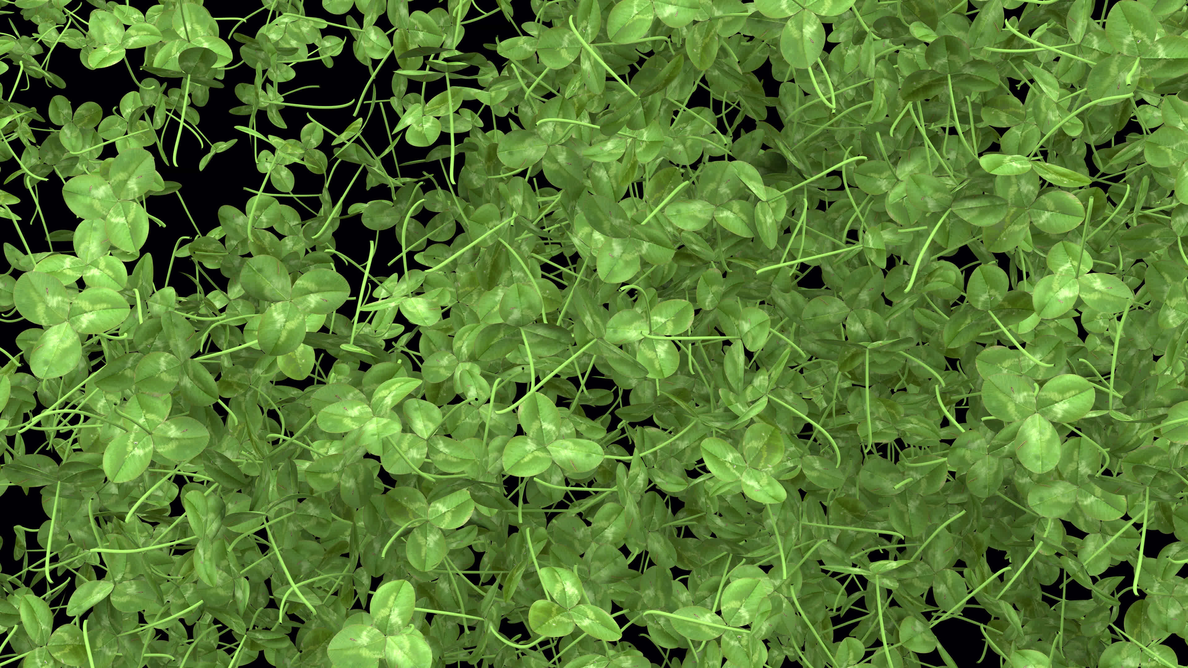 st patrick day animated background