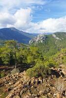 Scenic view of the mountain covered with green trees and plants with blue skies in the background photo