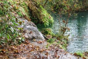 A serene scene of a small waterfall in a green forest with mossy rocks, fallen leaves, and dense trees. photo