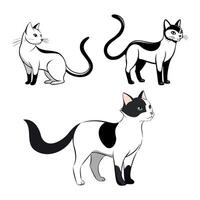 set of black and white cats in different poses vector