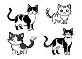 cuatro negro y blanco gatos son mostrado en diferente poses vector