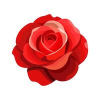 red rose flower vector illustration isolated on white background
