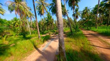 mujer carreras a lo largo un escénico la carretera con palma arboles en tropical isla, Tailandia video