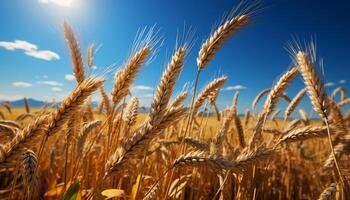 AI generated Rural scene  yellow wheat fields, ripe barley, vibrant autumn meadow generated by AI photo