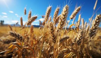 AI generated Rural farm landscape  yellow wheat meadows, ripe barley, golden harvest generated by AI photo