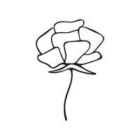 Black and white flower on a white background. vector