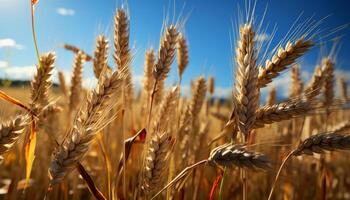 AI generated Rural scene  yellow wheat fields, ripe barley, autumn meadow generated by AI photo