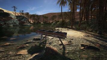 An old wooden Dredge in desert oasis video