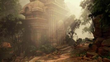 Ancient Temple Ruins Amidst Forest video