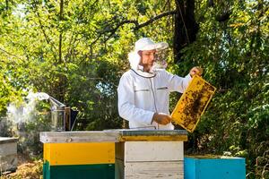 Man working in apiary with honeycells. Beekeeper in protective suit looks at frame with honey. Apiculture. Beekeeping concept. photo
