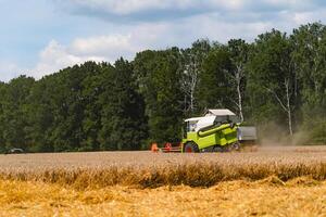 agricultura máquina cosecha cosecha en campos, especial técnica en acción. agrícola técnica en campo. pesado maquinaria, azul cielo encima campo. foto