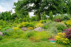 Beautiful green landscapes of flowers and plants. Field of spring flowers and grass. photo