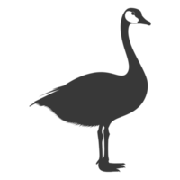 AI generated Silhouette goose animal black color only full body png