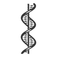 AI generated Silhouette gene DNA symbol black color only png