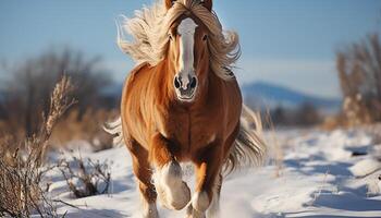 AI generated Running stallion in winter meadow, showcasing beauty in nature generated by AI photo