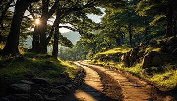 ai generado puesta de sol terminado el verde prado, un tranquilo naturaleza aventuras espera generado por ai foto