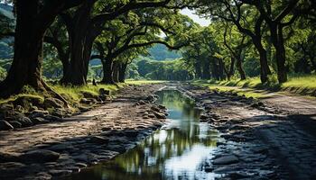 ai generado tranquilo bosque prado refleja luz de sol en verde árbol ramas generado por ai foto