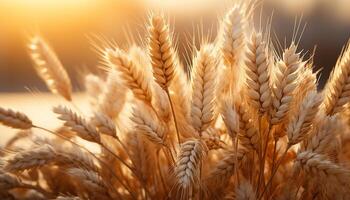 AI generated Healthy eating organic wheat plant, ripe, golden, wholegrain bread generated by AI photo