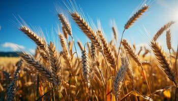 AI generated Rural scene wheat field, summer growth, yellow plant, close up meadow generated by AI photo