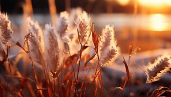 ai generado puesta de sol terminado prado, dorado trigo se balancea en tranquilo naturaleza generado por ai foto