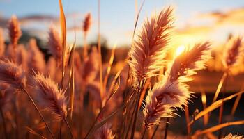 ai generado tranquilo prado, dorado trigo, verde árbol, brillante cielo, naturaleza belleza generado por ai foto
