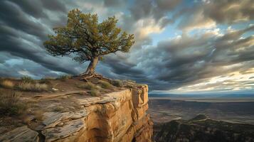 ai generado elástico solitario árbol abrazando elementos en pie firma en medio de Tormentoso cielo reticente a esperanza con luz tenue de Dom foto