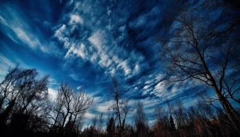 AI generated Silhouette of tree in dark forest under dramatic twilight sky generated by AI photo