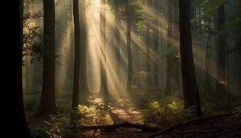 ai generado misterioso bosque, tranquilo escena, escalofriante belleza en naturaleza iluminado generado por ai foto