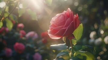 ai generado vibrante rojo Rosa en suave natural ligero un macro instantánea de delicado pétalos en lleno floración foto