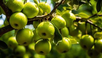 AI generated Freshness and nature in a close up apple orchard generated by AI photo