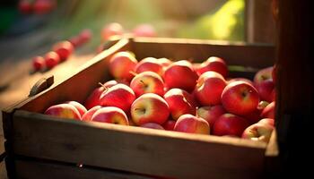 ai generado frescura de orgánico manzanas en de madera caja al aire libre generado por ai foto