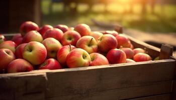 AI generated Fresh organic apples in a wooden crate outdoors generated by AI photo