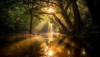 ai generado tranquilo escena de otoño bosque, luz de sol refleja en agua generado por ai foto