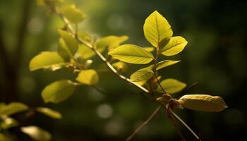 ai generado frescura de naturaleza belleza en verde frondoso árbol generado por ai foto