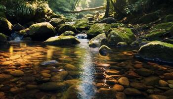 AI generated Tranquil scene of flowing water in a forest generated by AI photo