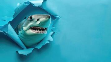 AI generated A humorous shark peers through a ripped hole in a contrast pastel color paper background, Ai Generated photo