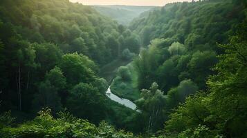 AI generated Sunlit Forest with Dappled Shadows A Lush Green Woodland Captured in Wide 24mm View photo