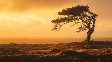 ai generado elástico árbol soportes orgulloso en azotado por el viento paisaje bañado en calentar puesta de sol resplandor foto