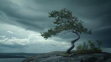 ai generado elástico árbol tirantes en contra tormenta desafiante ramas firma raíces y arremolinándose nubes capturar fuerza en adversidad foto