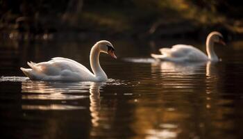 AI generated Majestic swan reflects elegance and beauty in tranquil pond generated by AI photo