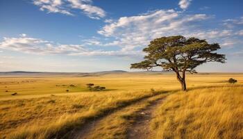 AI generated Idyllic meadow, tree, and grass in rural Africa generated by AI photo