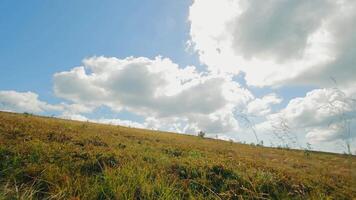 Bewegung im das Feld von das zuerst Person, Seite Sicht, warm Sonne Strahlen spähen durch flauschige Wolken Über ein still Wiese. video