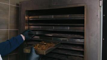 Laboratory Soil Drying Procedure, Technician drying soil samples in an agricultural lab oven. video