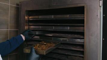 Laboratory Soil Drying Procedure, Technician drying soil samples in an agricultural lab oven. video